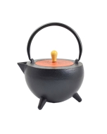 Emajlirani čajnik iz litega železa; črn z opečnato rdečim pokrovom in cedilom 1L